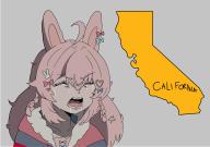 california_(state) Pipkin_Pippa pippa // 2048x1448 // 229KB